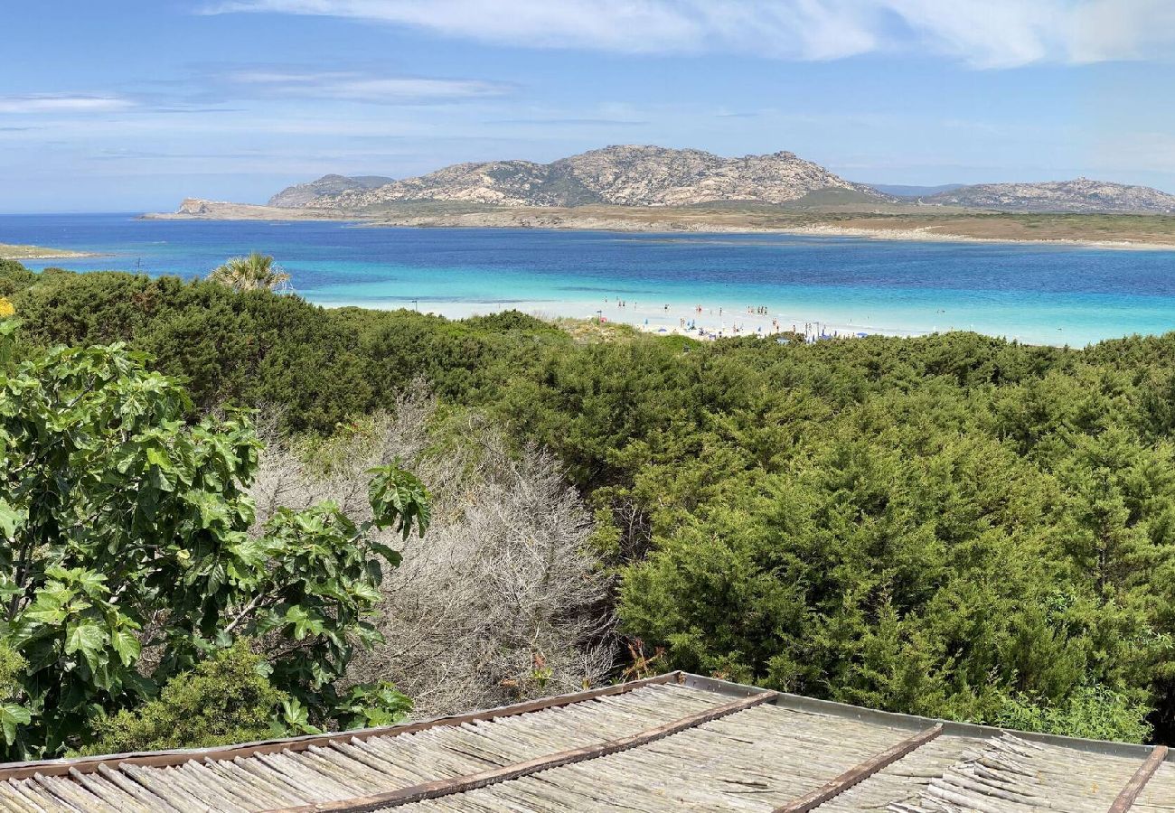 House in Stintino - Stintino #10 Casa Panoramica - By Searly 