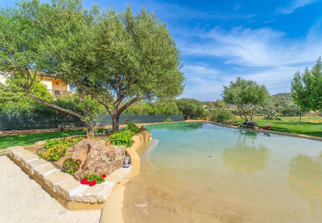 Villa in Porto San Paolo - D&V Luxury Villa - with heated swimming pool - By Searly 