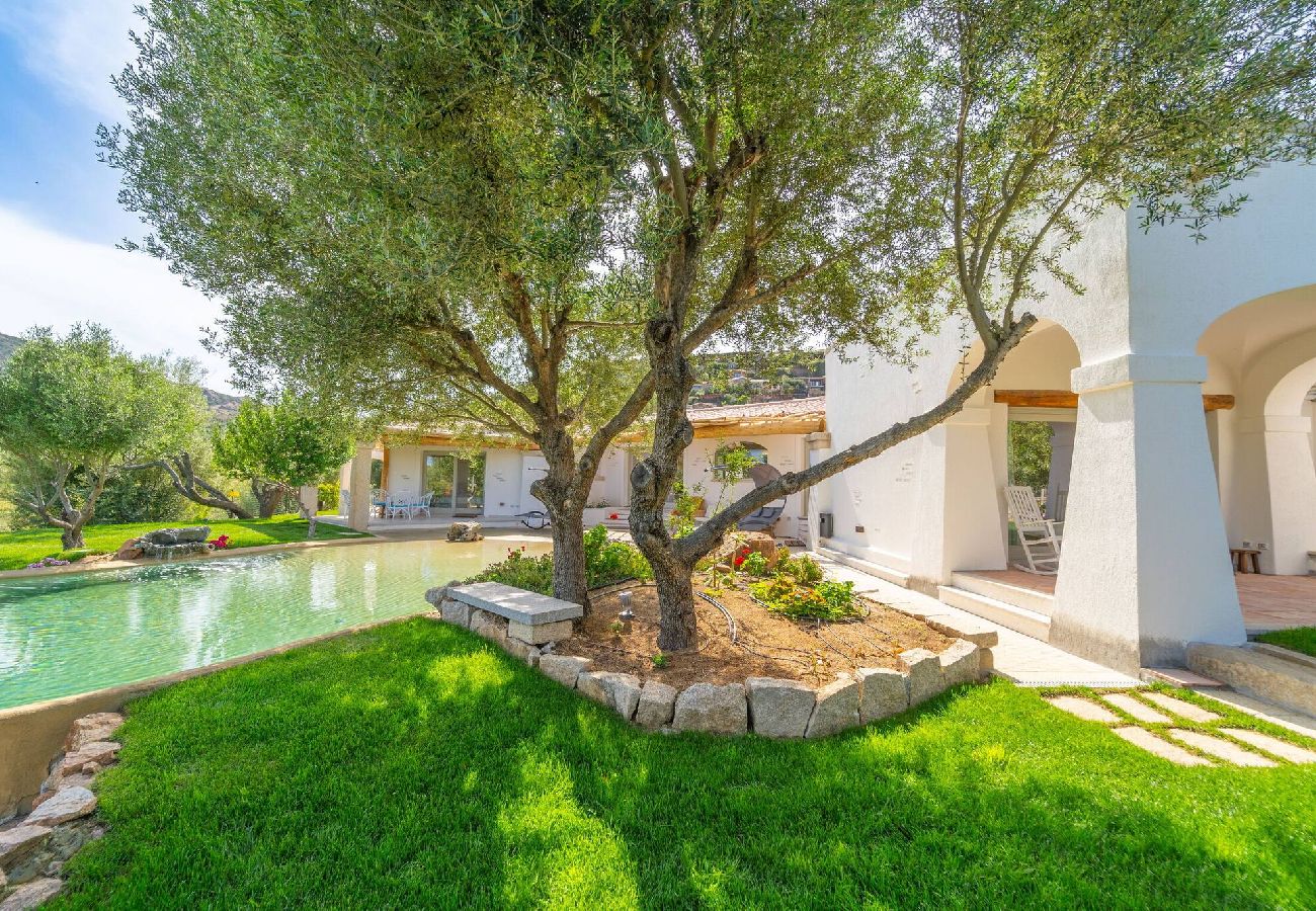 Villa in Porto San Paolo - D&V Luxury Villa - with heated swimming pool - By Searly 