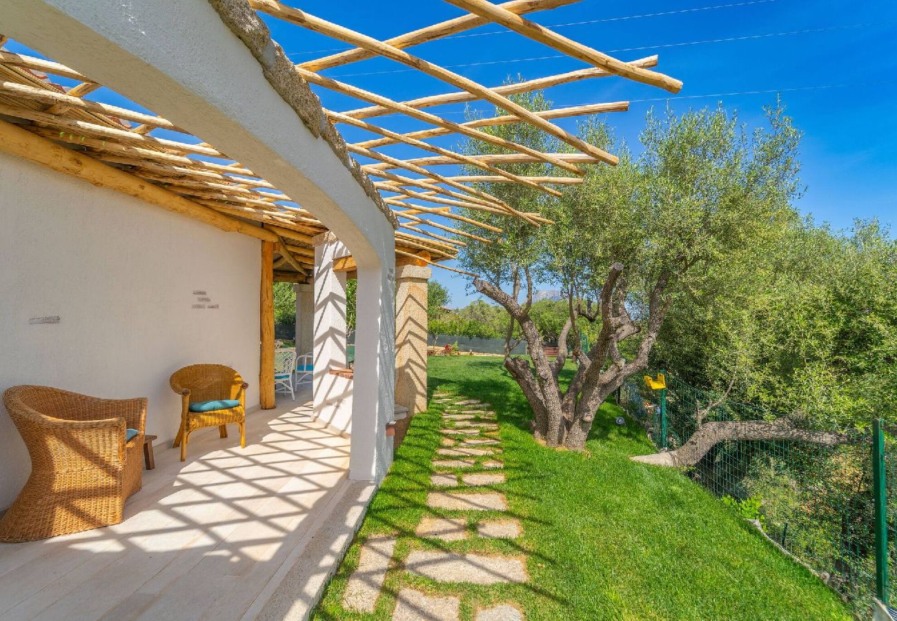 Villa in Porto San Paolo - D&V Luxury Villa - with heated swimming pool - By Searly 