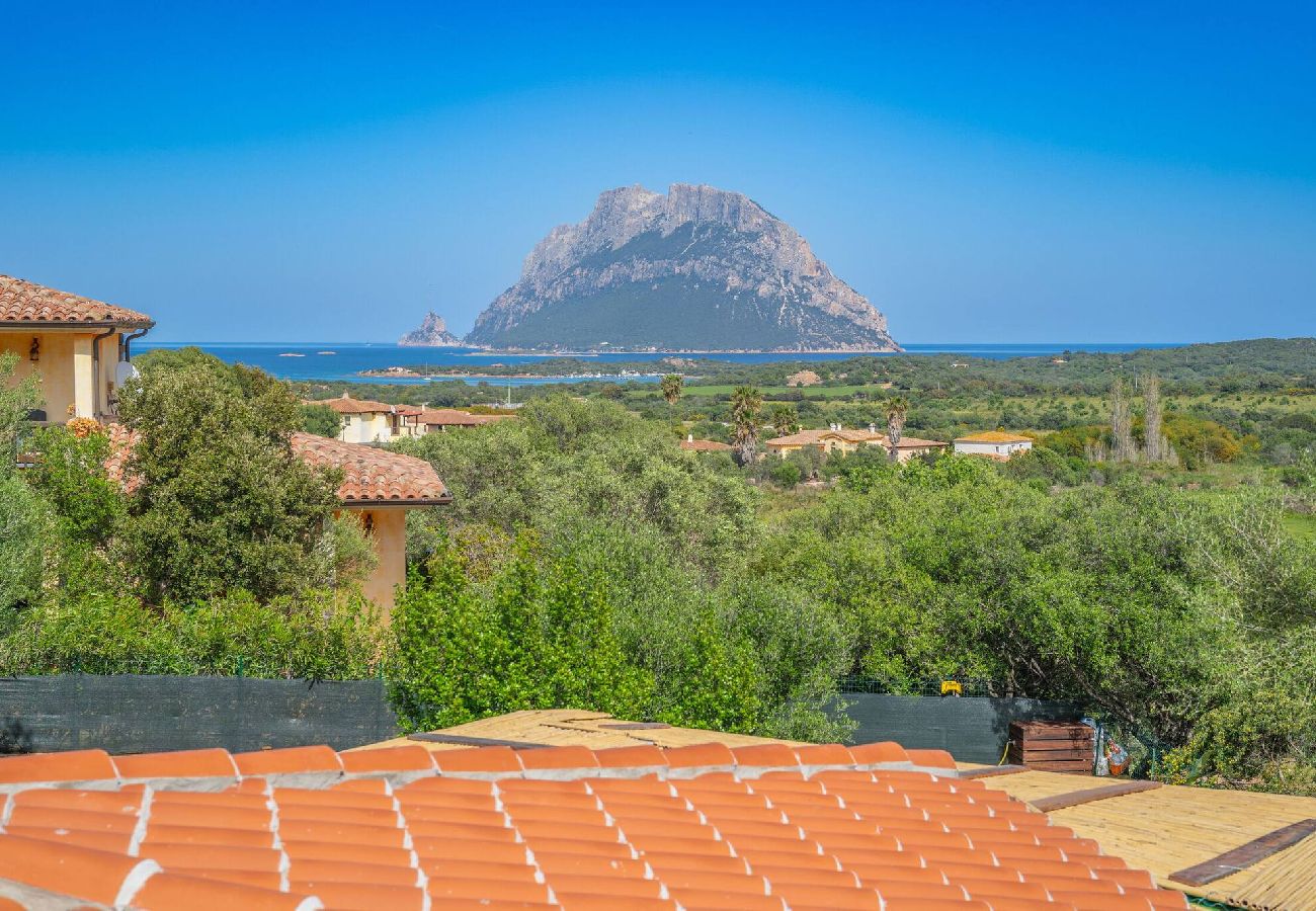 Villa in Porto San Paolo - D&V Luxury Villa - with heated swimming pool - By Searly 