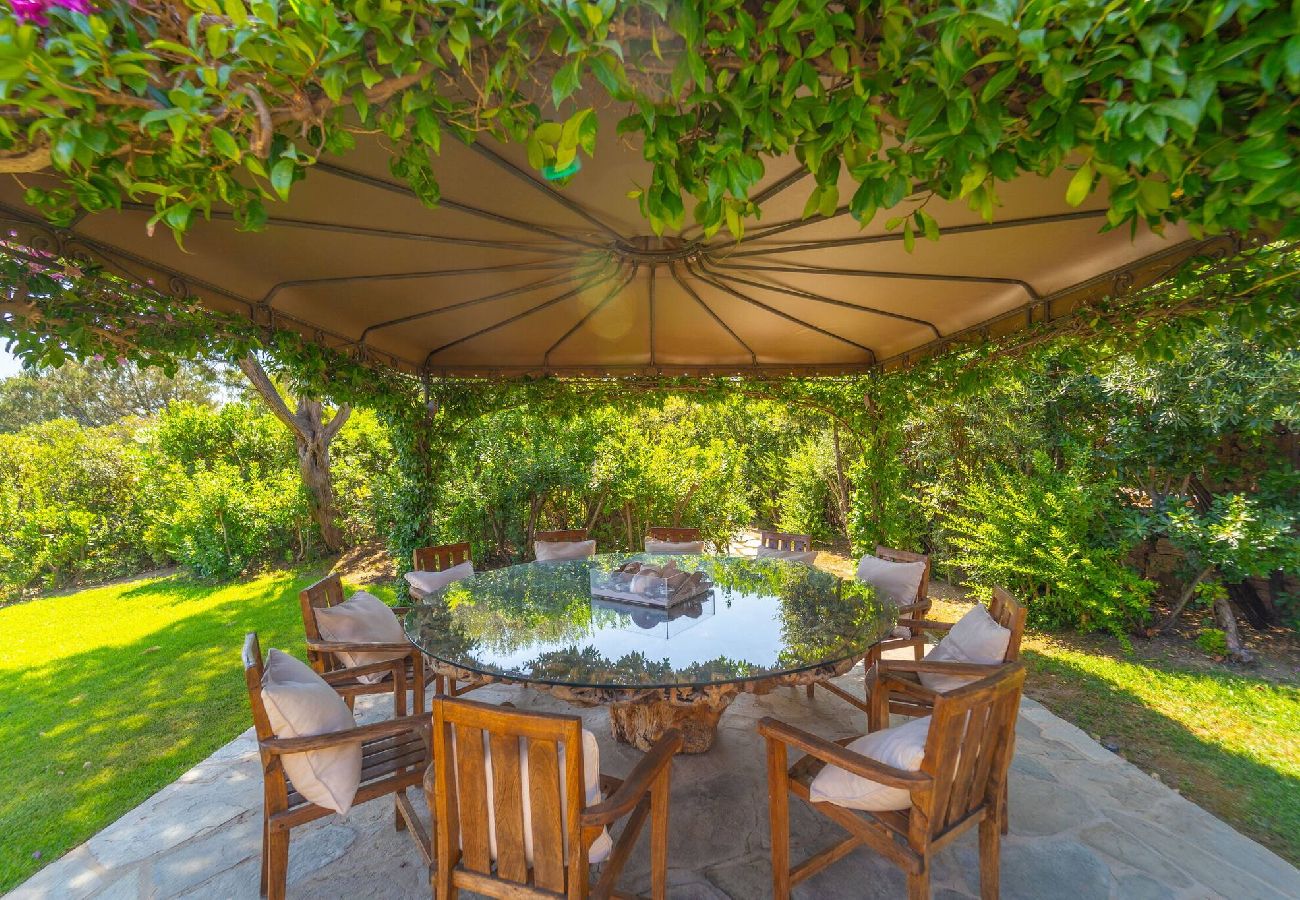 Villa in Porto Rotondo - Villa Alfa - By Searly 