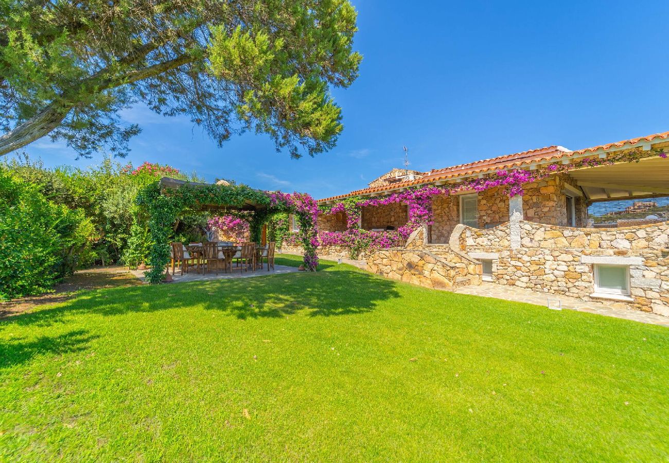 Villa in Porto Rotondo - Villa Alfa - By Searly 