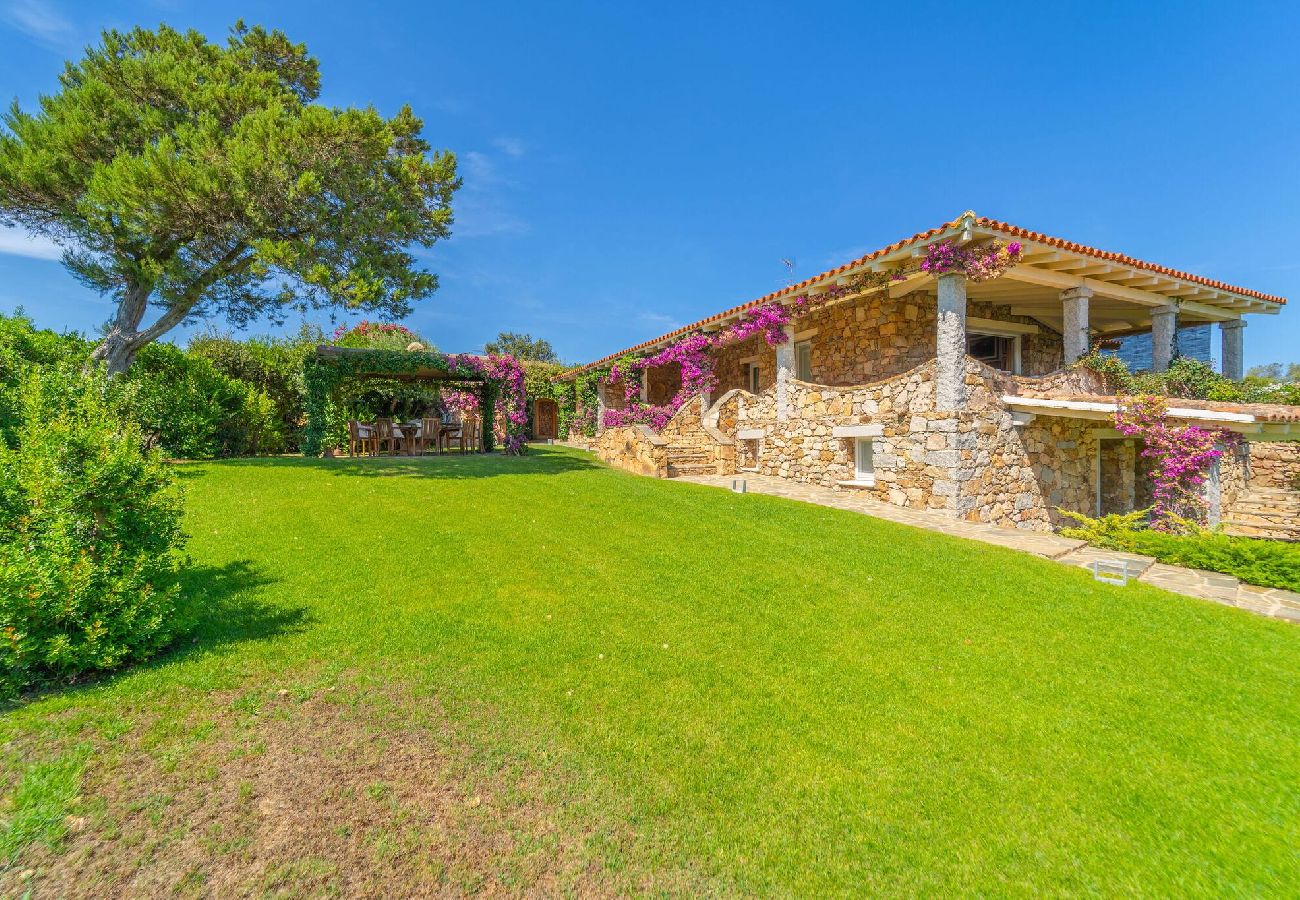 Villa in Porto Rotondo - Villa Alfa - By Searly 