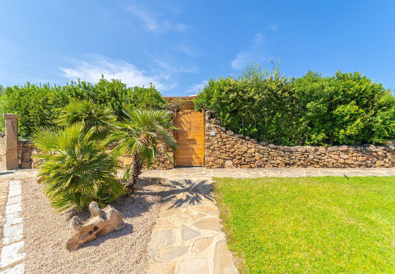 Villa in Porto Rotondo - Villa Alfa - By Searly 