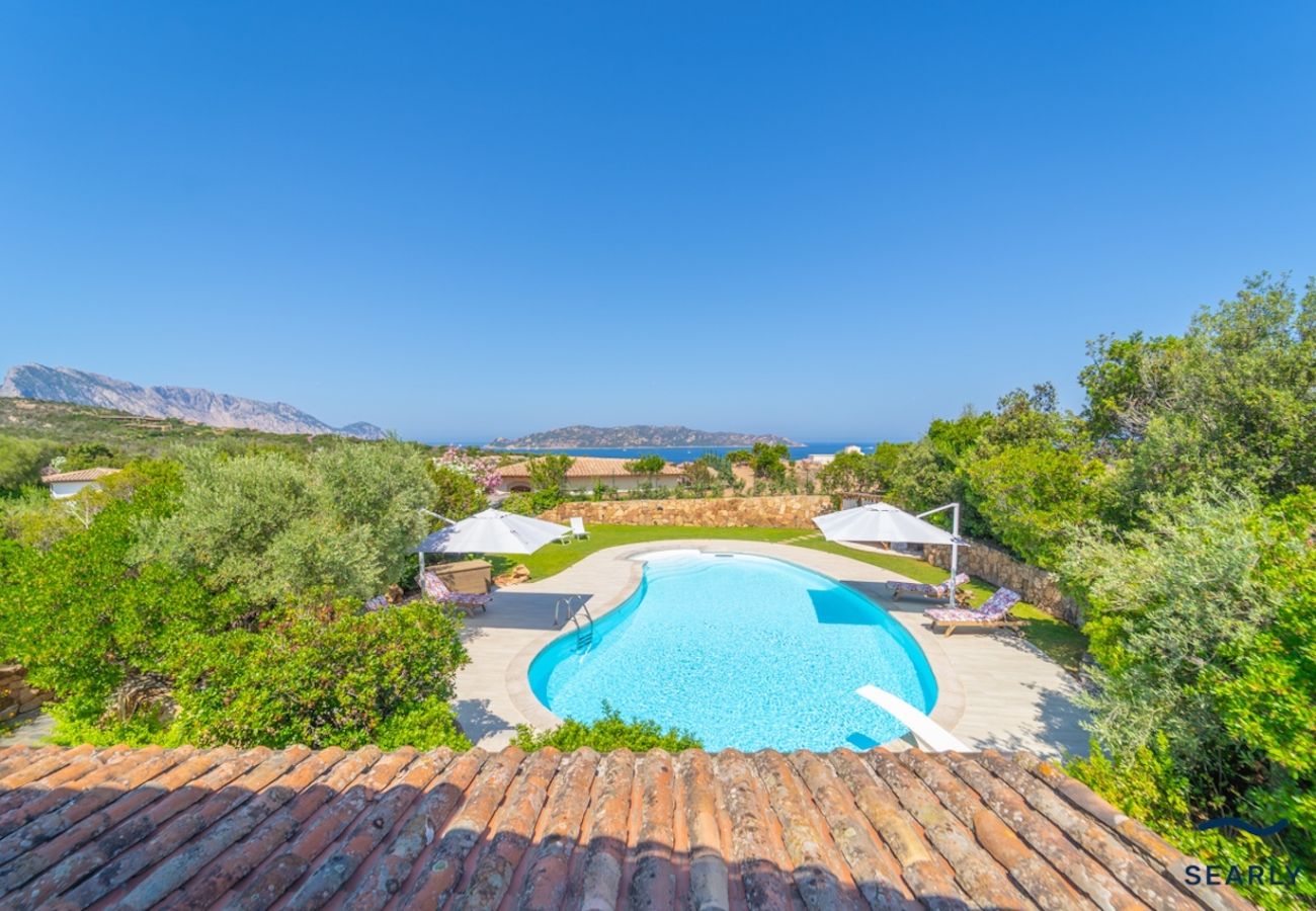 Villa in San Teodoro - Villa Orchidea