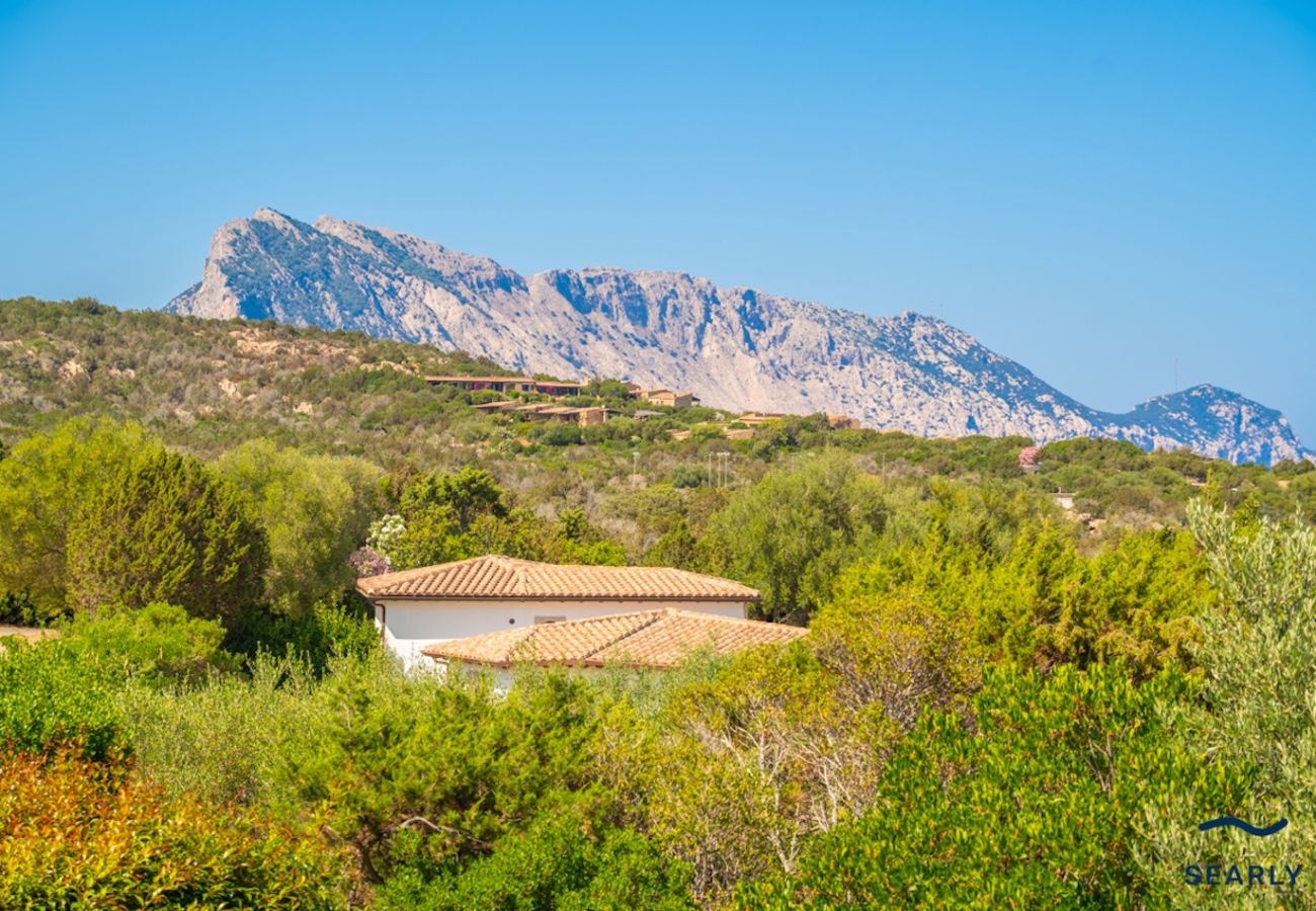 Villa in San Teodoro - Villa Orchidea