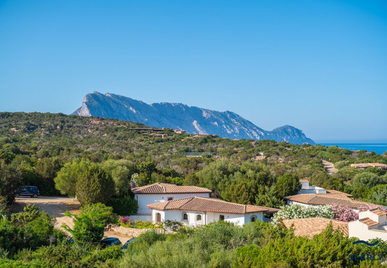 Villa in San Teodoro - Villa Orchidea