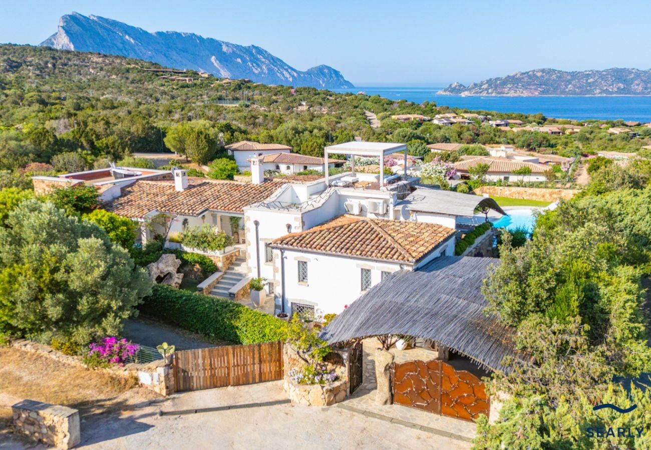 Villa in San Teodoro - Villa Orchidea
