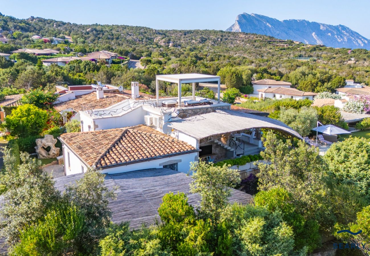 Villa in San Teodoro - Villa Orchidea