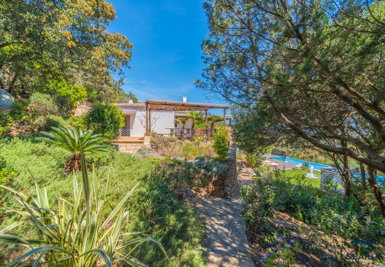 Villa in Porto Cervo - Villa Cavalli 