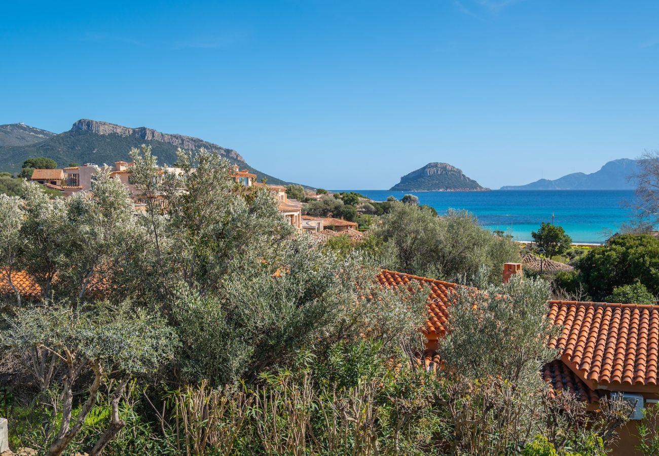 Villa in Golfo Aranci - Villa La Dolce Vita