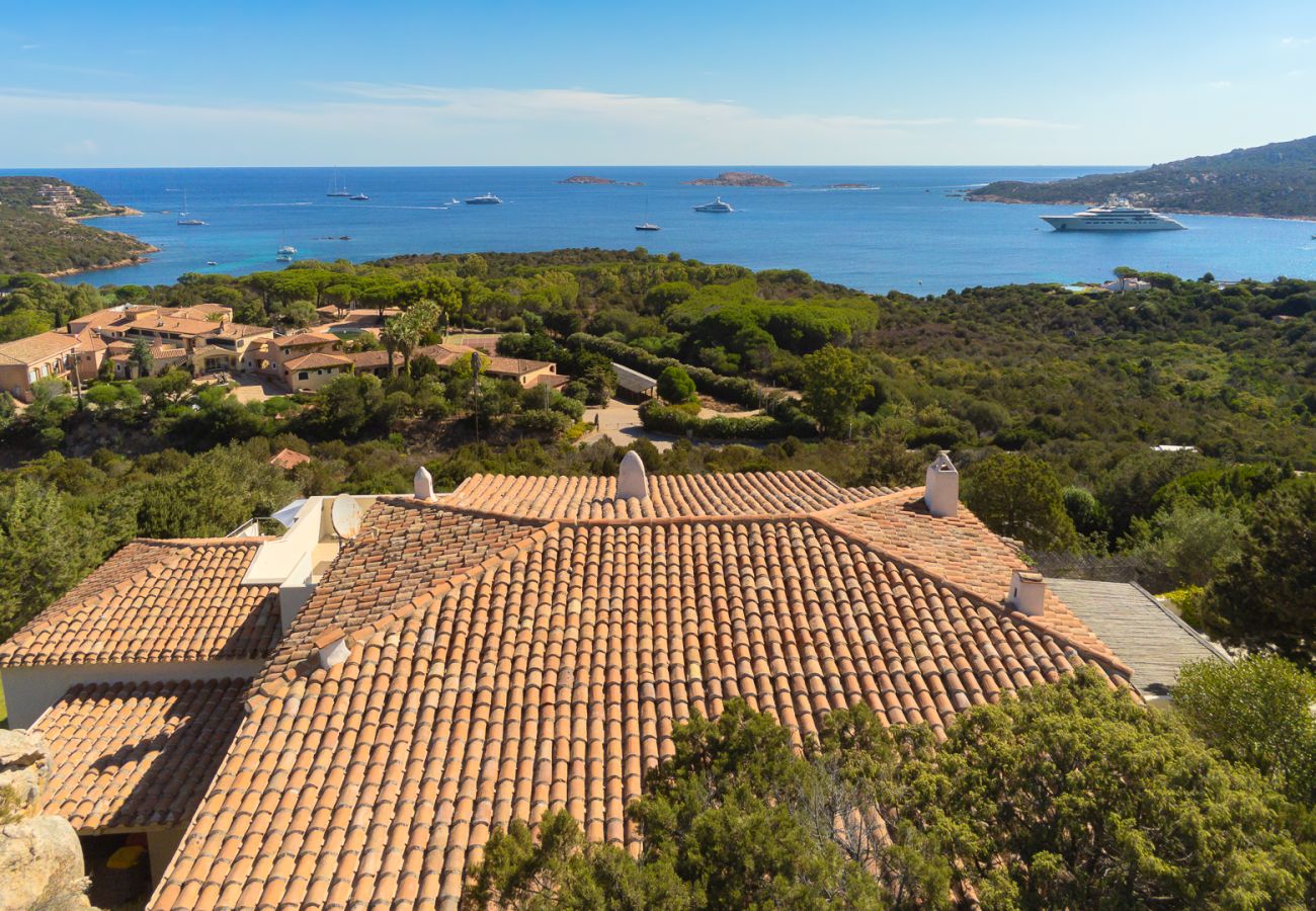 Villa in Arzachena - Villa Purple