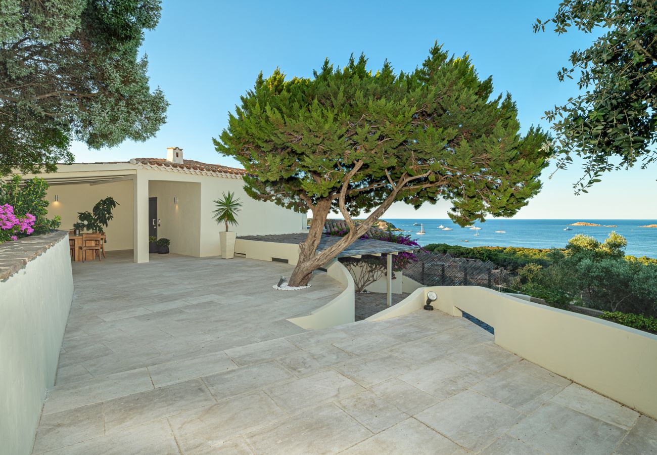 Villa in Arzachena - Villa Purple