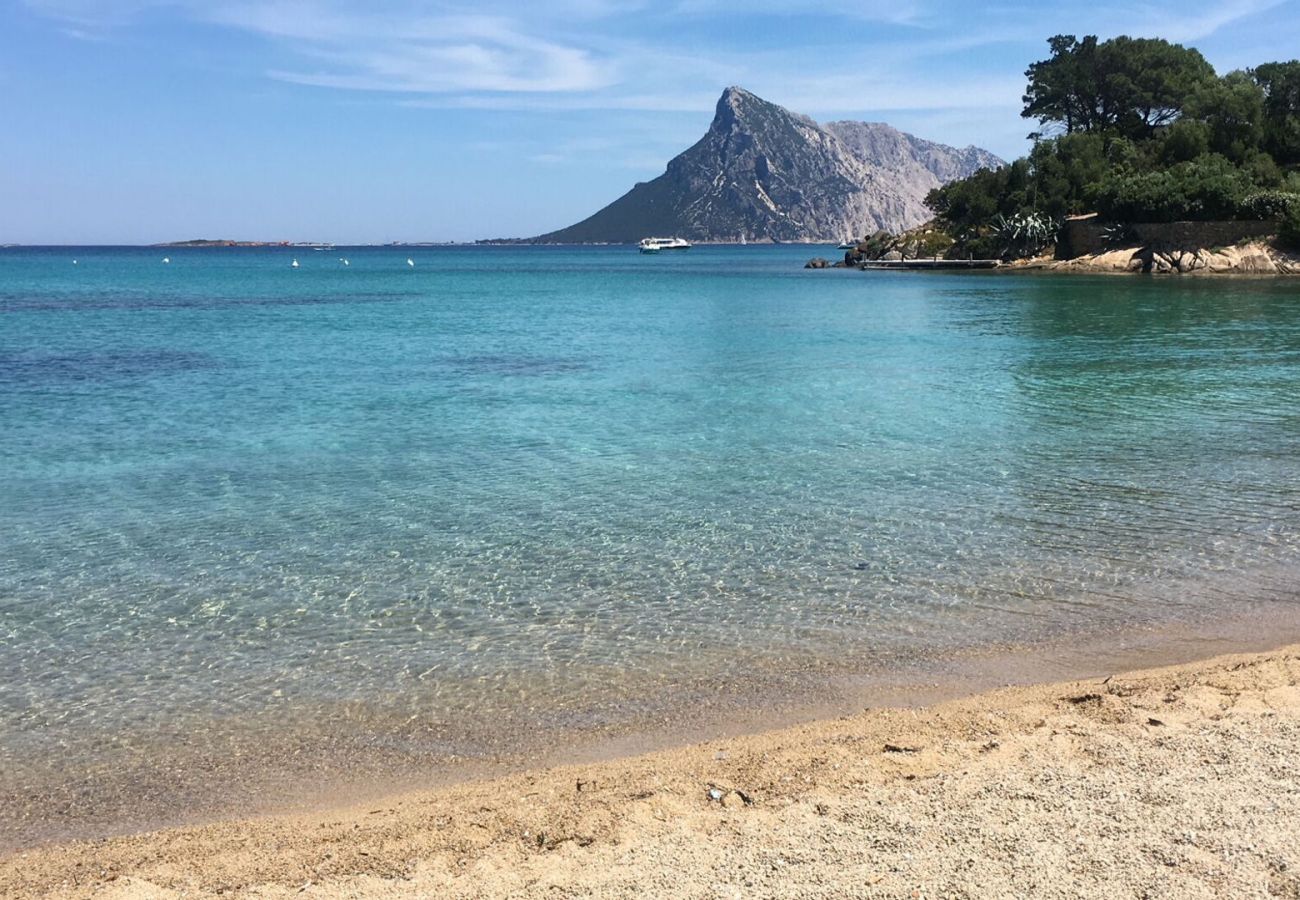 Chalet in San Teodoro - Villa Su Cuile