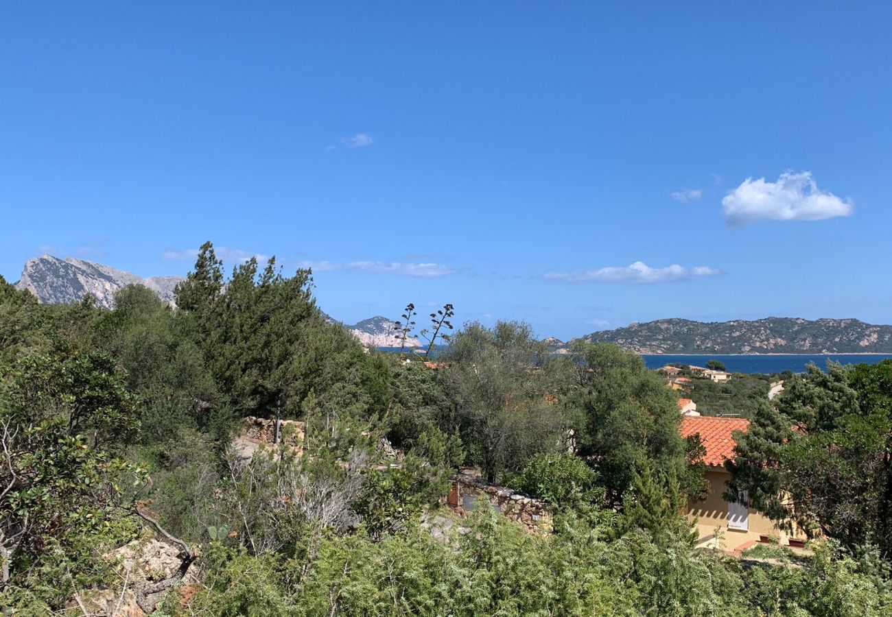 Chalet in San Teodoro - Villa Su Cuile