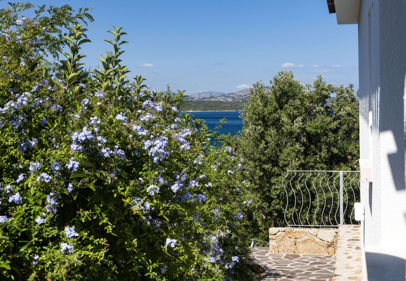 Villa in San Teodoro - Villa Astrea Alba