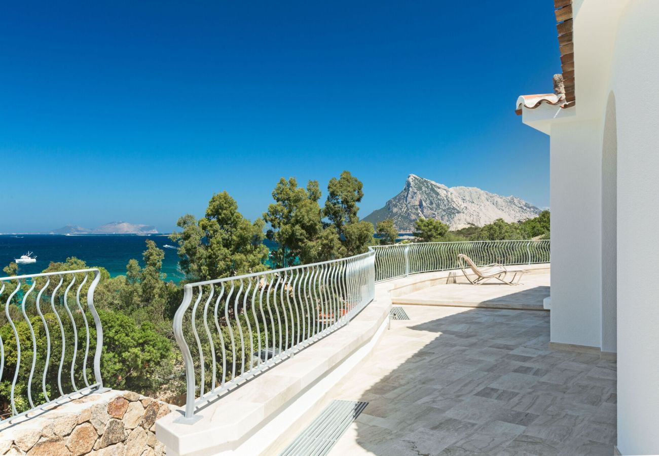 Villa in San Teodoro - Villa Astrea Blu