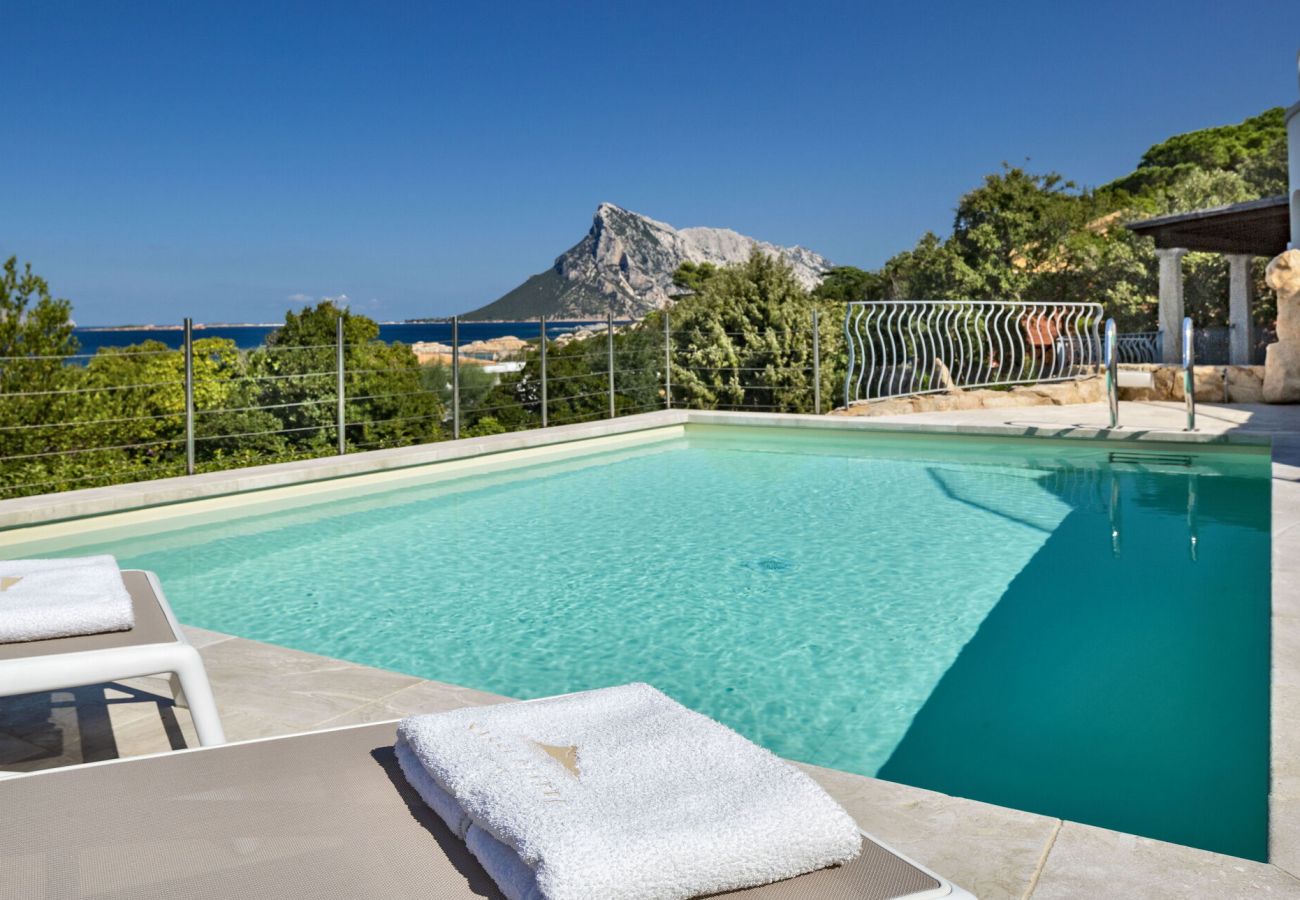 Villa in San Teodoro - Villa Astrea Blu