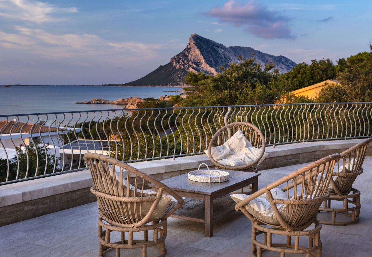 Villa in San Teodoro - Villa Astrea Blu