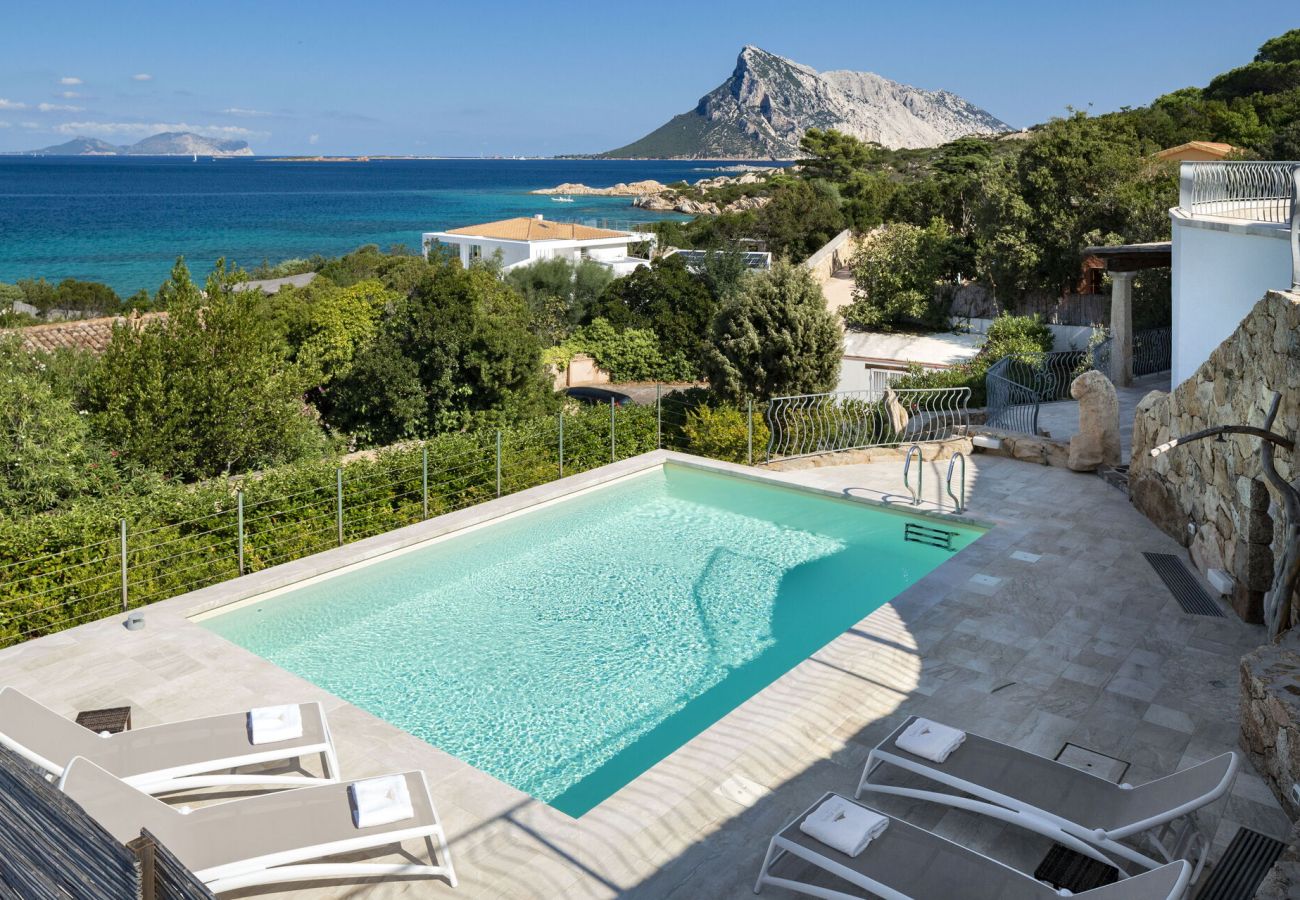 Villa in San Teodoro - Villa Astrea Blu
