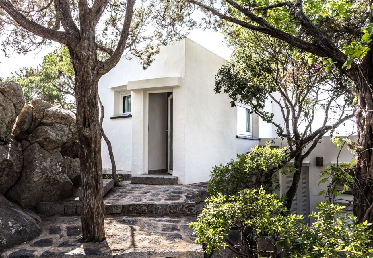 Villa in Porto Rotondo - Exclusive Villa Porto Rotondo