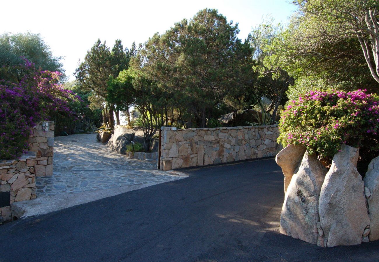 Villa in Porto Rotondo - Exclusive Villa Porto Rotondo