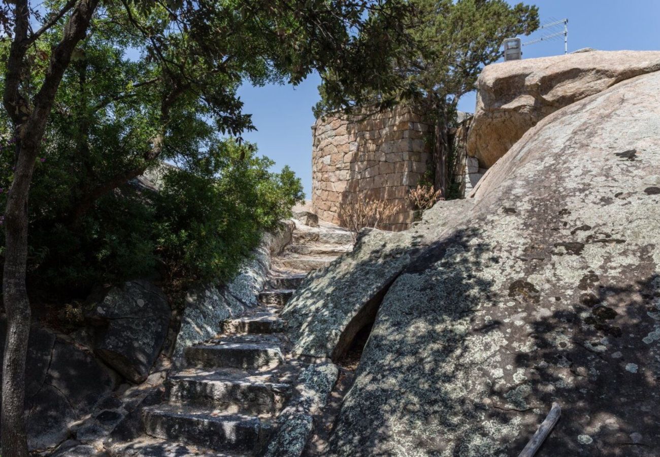 Villa in Porto Rotondo - Exclusive Villa Porto Rotondo