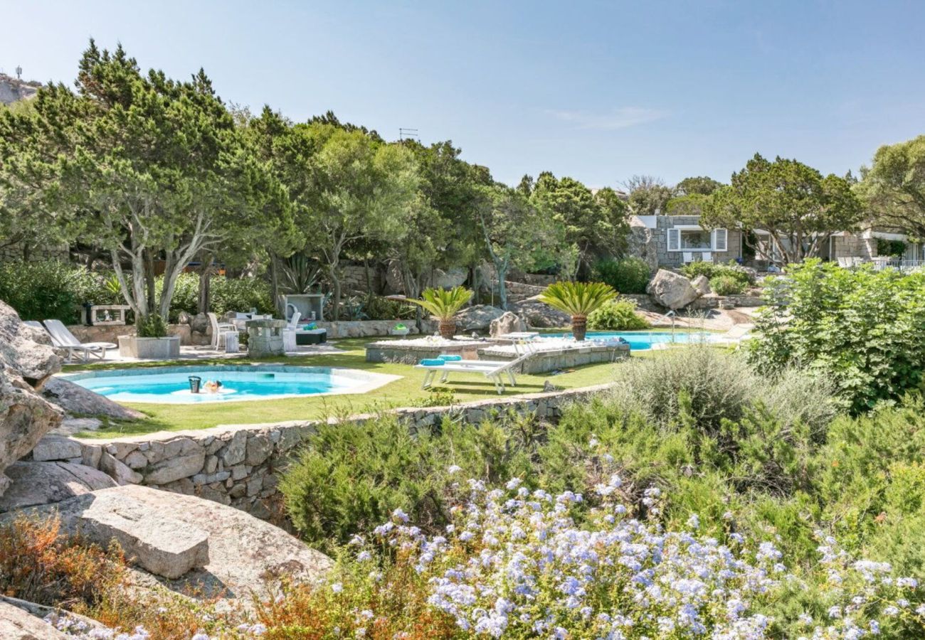 Villa in Porto Rotondo - Exclusive Villa Porto Rotondo