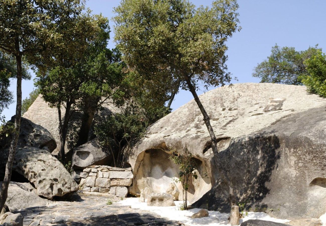 Villa in Porto Rotondo - Exclusive Villa Porto Rotondo