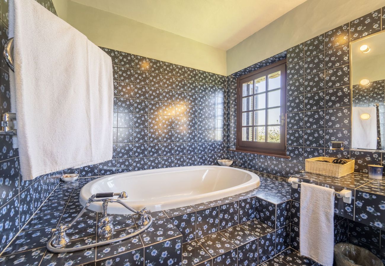 Villa in Porto San Paolo - Villa Panorama