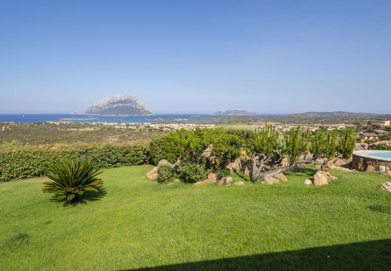 Villa in Porto San Paolo - Villa Panorama
