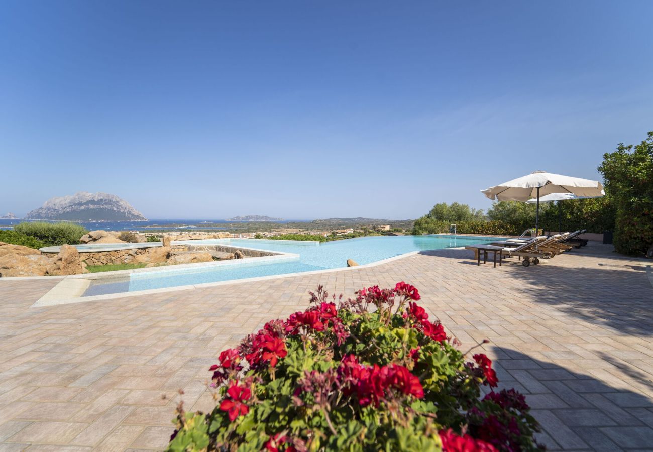 Villa in Porto San Paolo - Villa Panorama