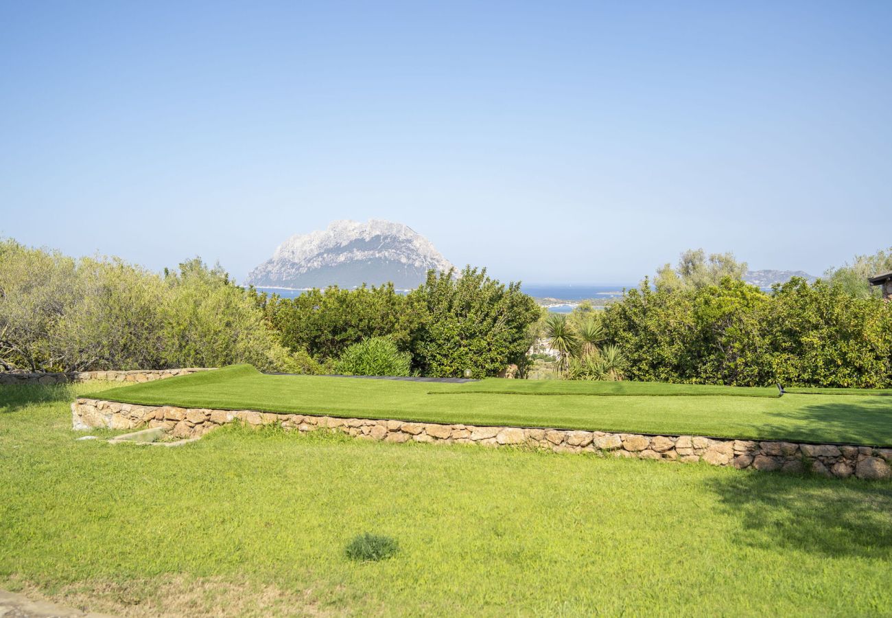 Villa in Porto San Paolo - Villa Panorama