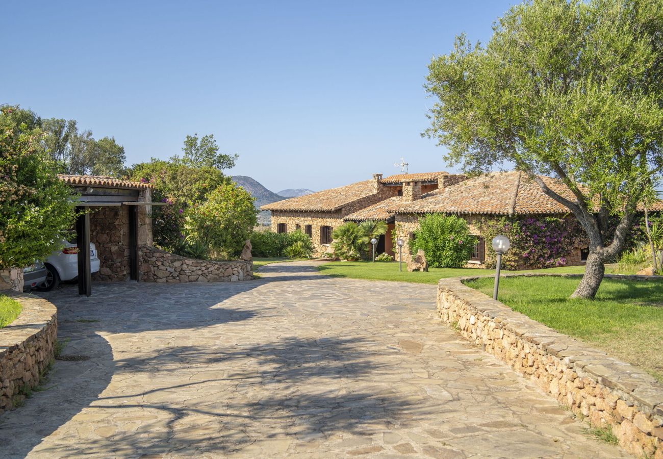 Villa in Porto San Paolo - Villa Panorama