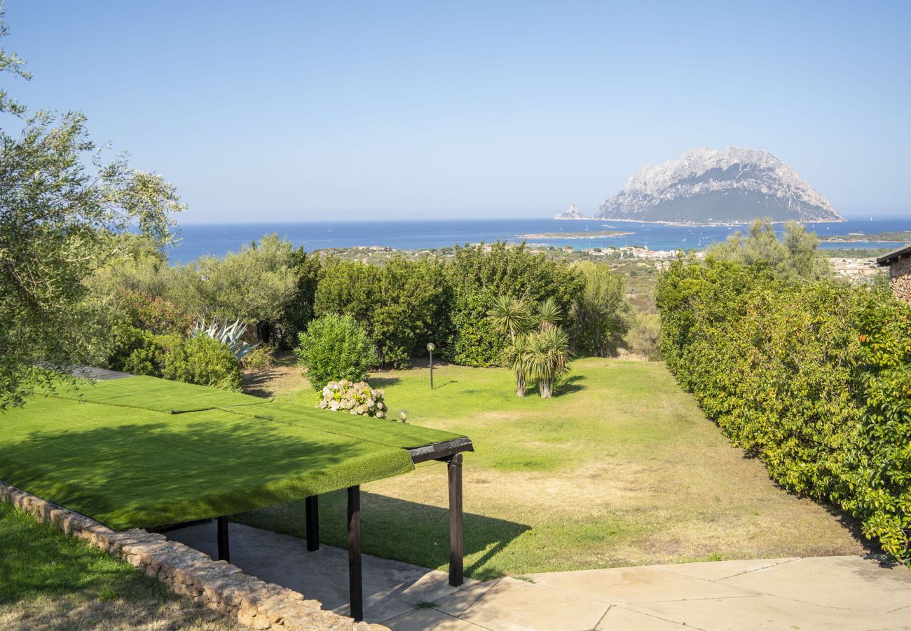 Villa in Porto San Paolo - Villa Panorama