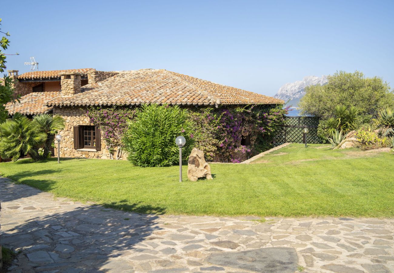 Villa in Porto San Paolo - Villa Panorama