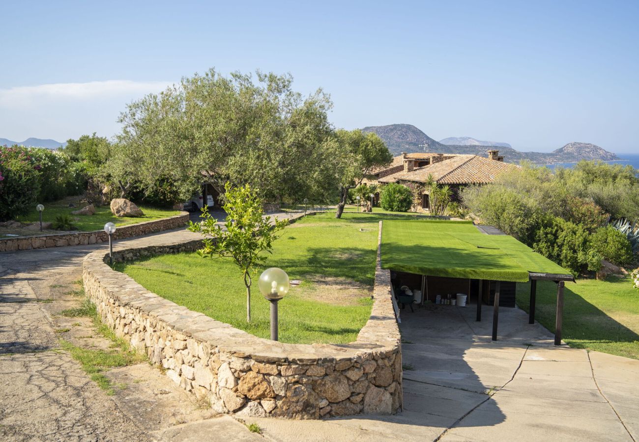 Villa in Porto San Paolo - Villa Panorama