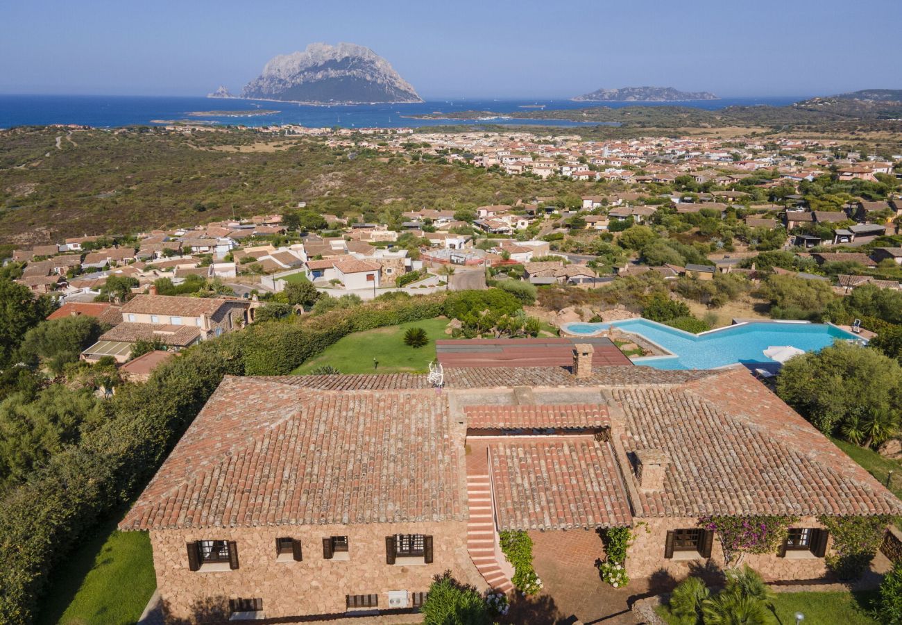 Villa in Porto San Paolo - Villa Panorama