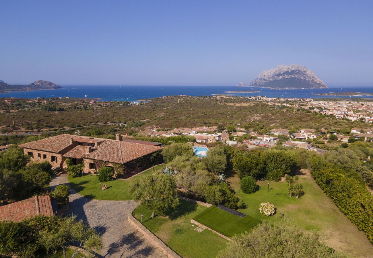 Villa in Porto San Paolo - Villa Panorama