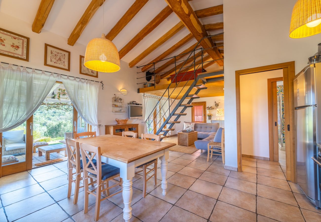 Villa in Olbia - Villa Essenza