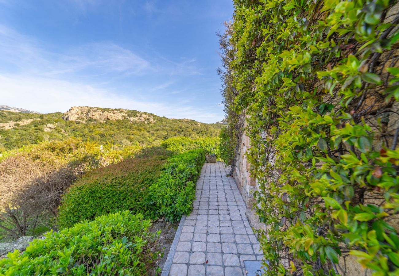 Villa in Olbia - Villa Essenza