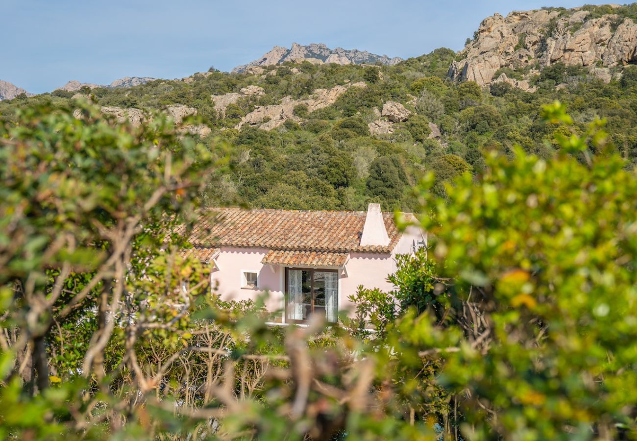 Villa in Olbia - Villa Essenza