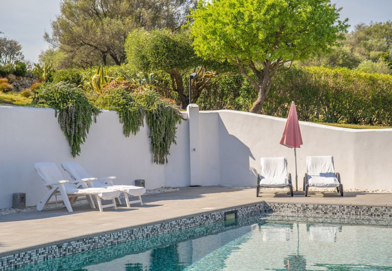 Villa in Olbia - Villa Essenza