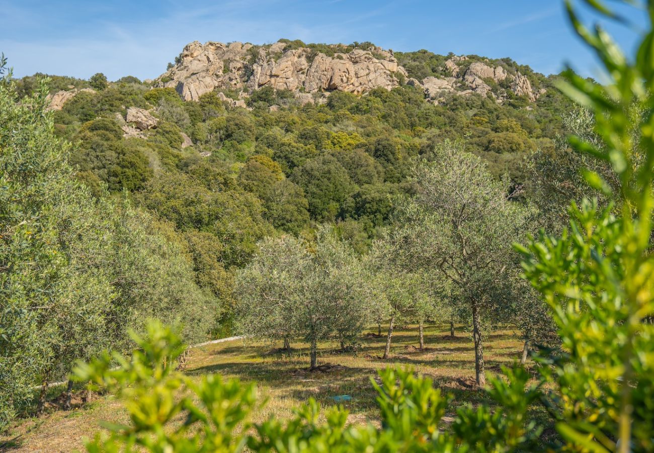 Villa in Olbia - Villa Essenza
