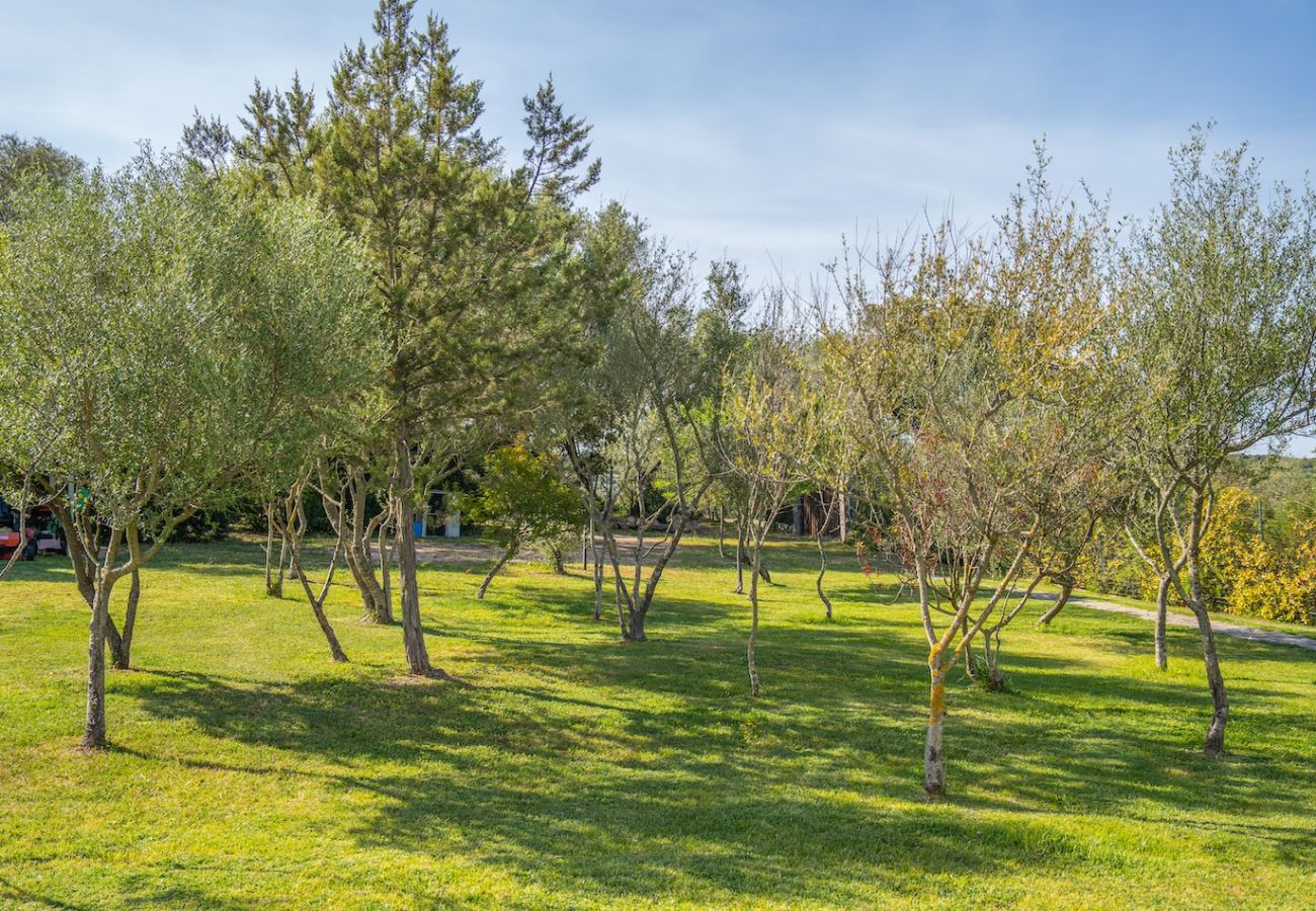 Villa in Olbia - Villa Essenza