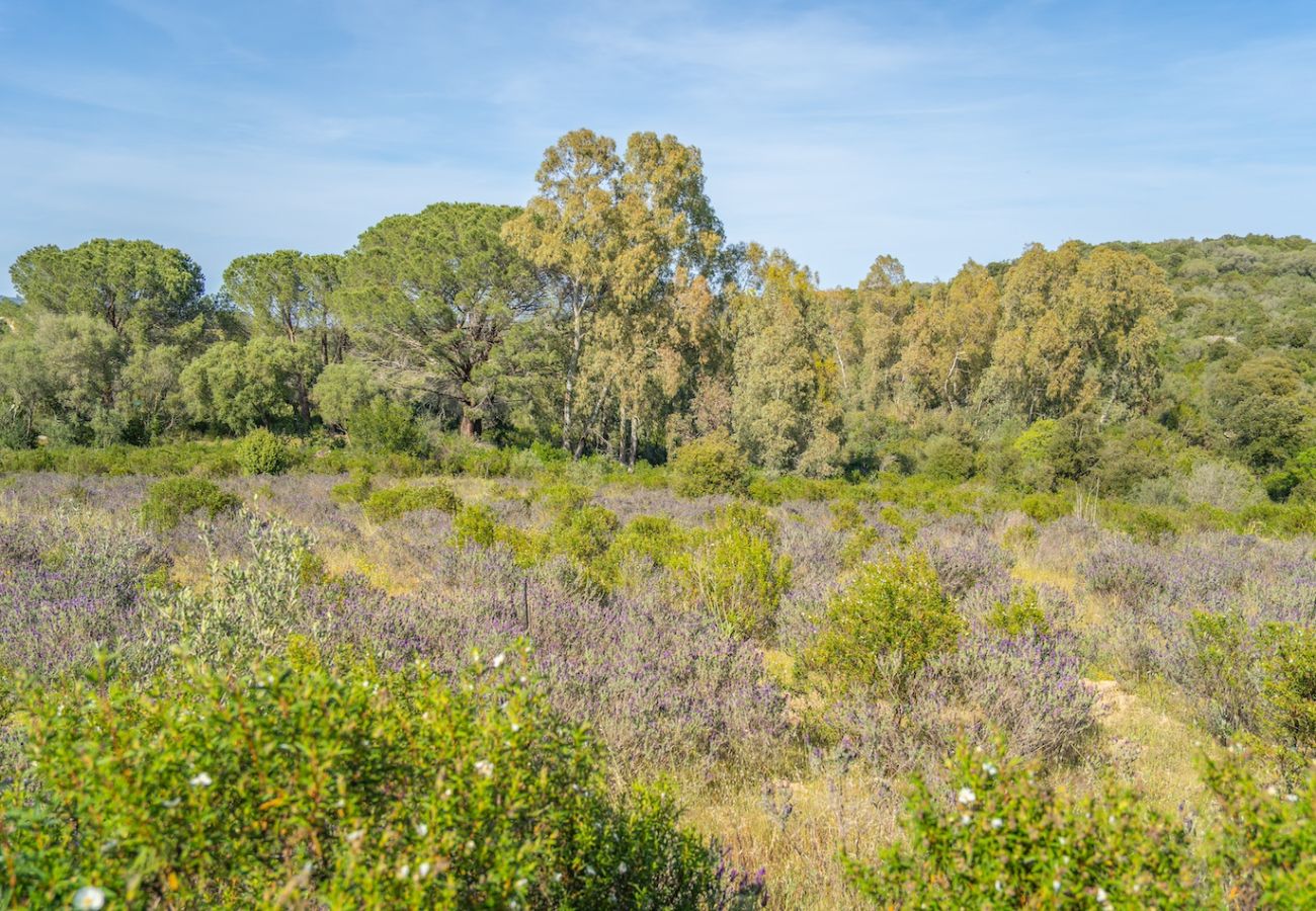 Villa in Olbia - Villa Essenza