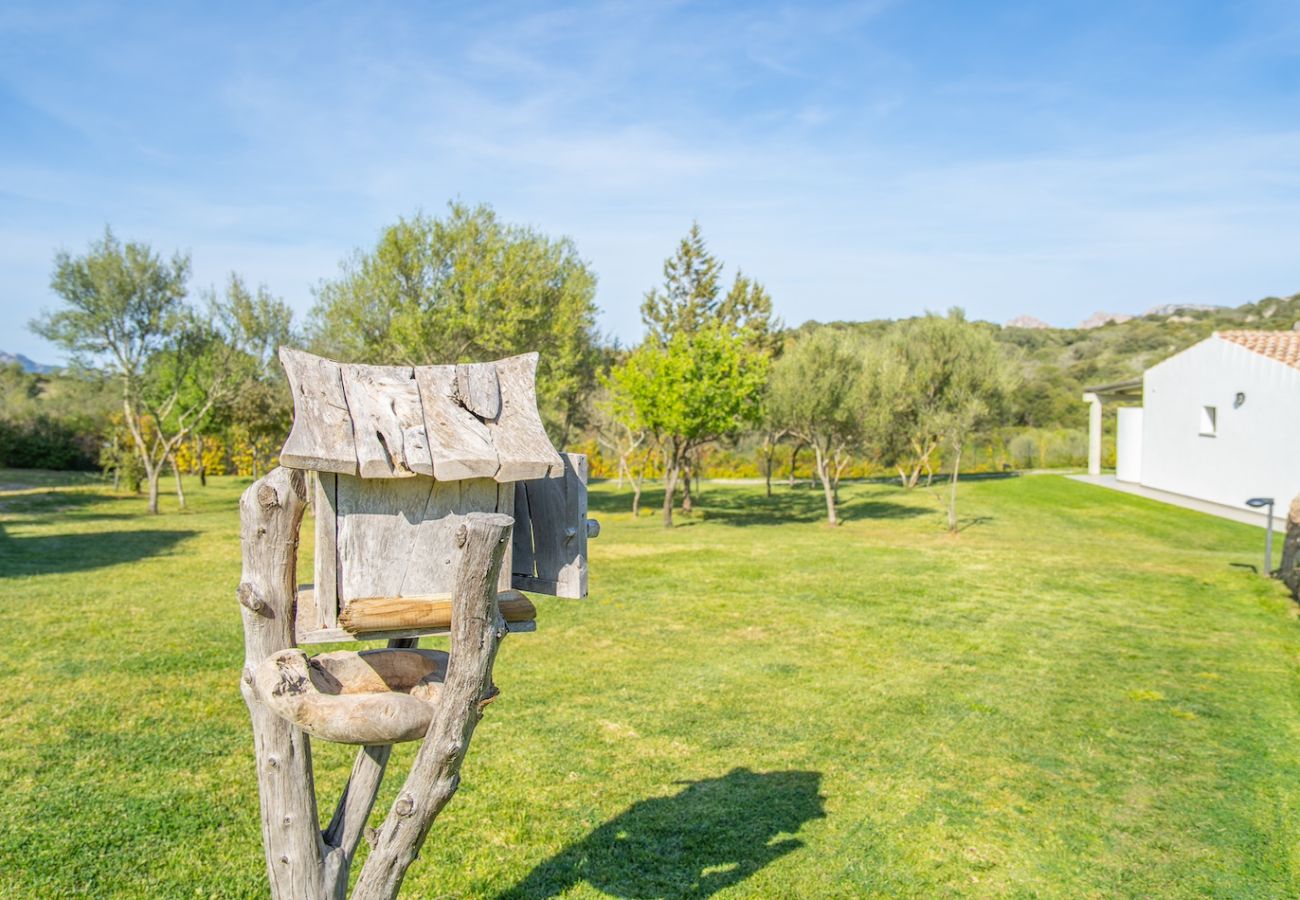 Villa in Olbia - Villa Essenza