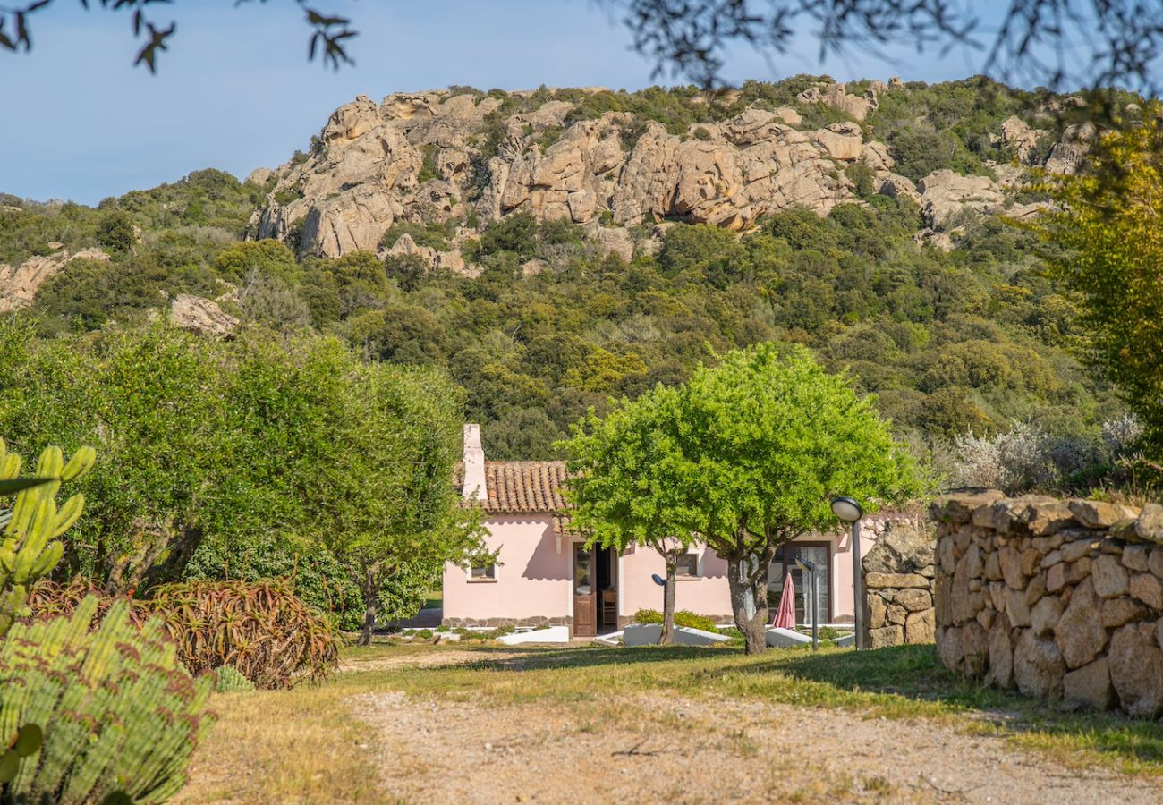 Villa in Olbia - Villa Essenza