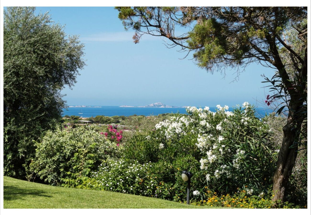 Villa in Olbia - Villa Lalla